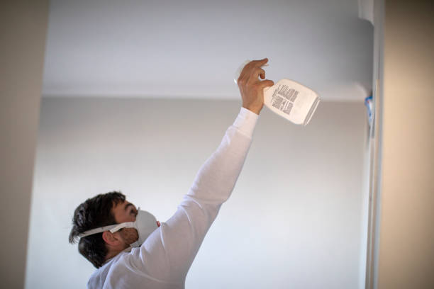 Best Mold Testing  in Mahomet, IL